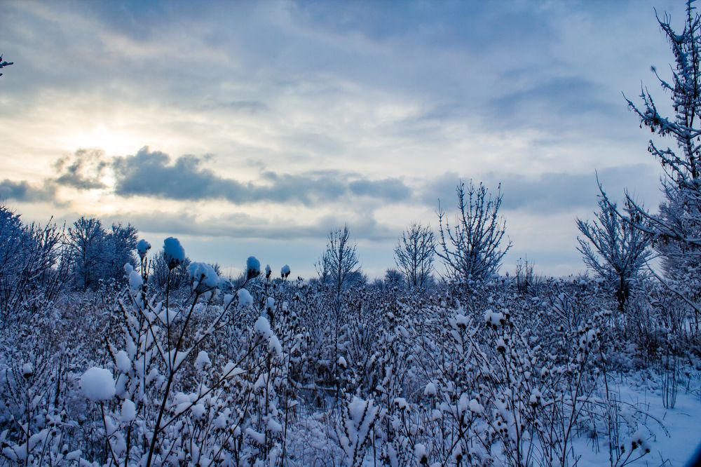 Photograph by Владимир Рябов