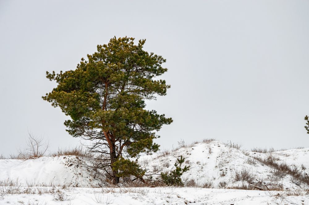 Photograph by Владимир Рябов