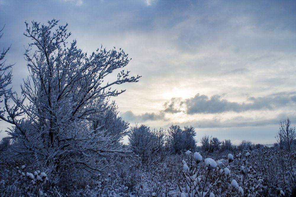 Photograph by Владимир Рябов