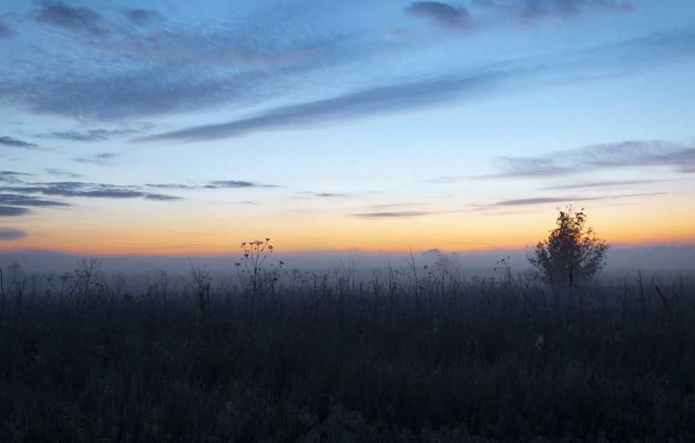 Photograph by Владимир Рябов