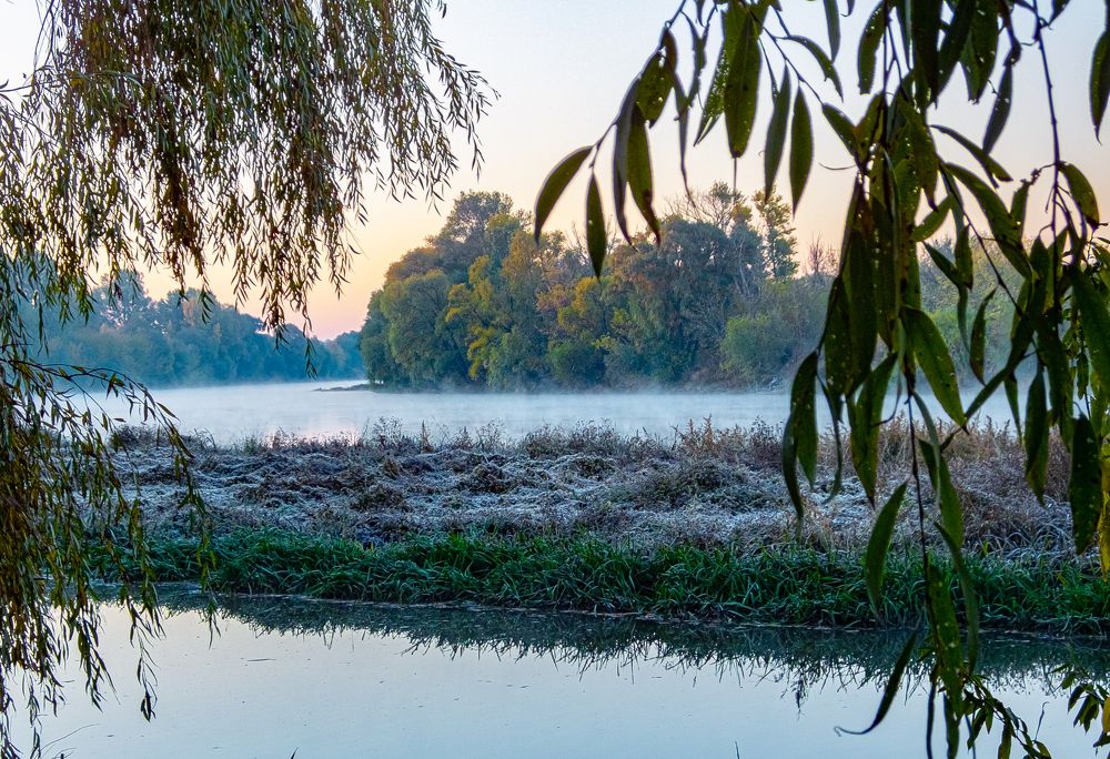 Photograph by Владимир Рябов