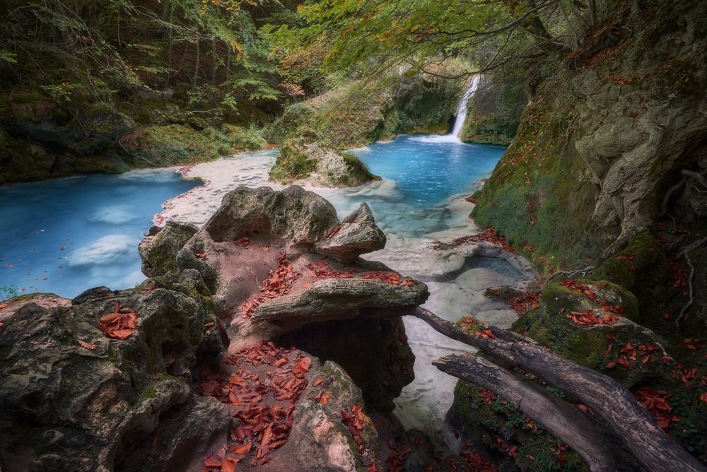 Autumnal Remembrances