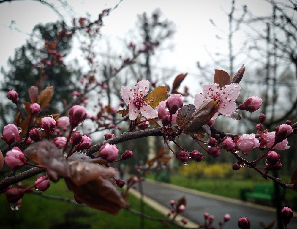 Photograph by Vitalie