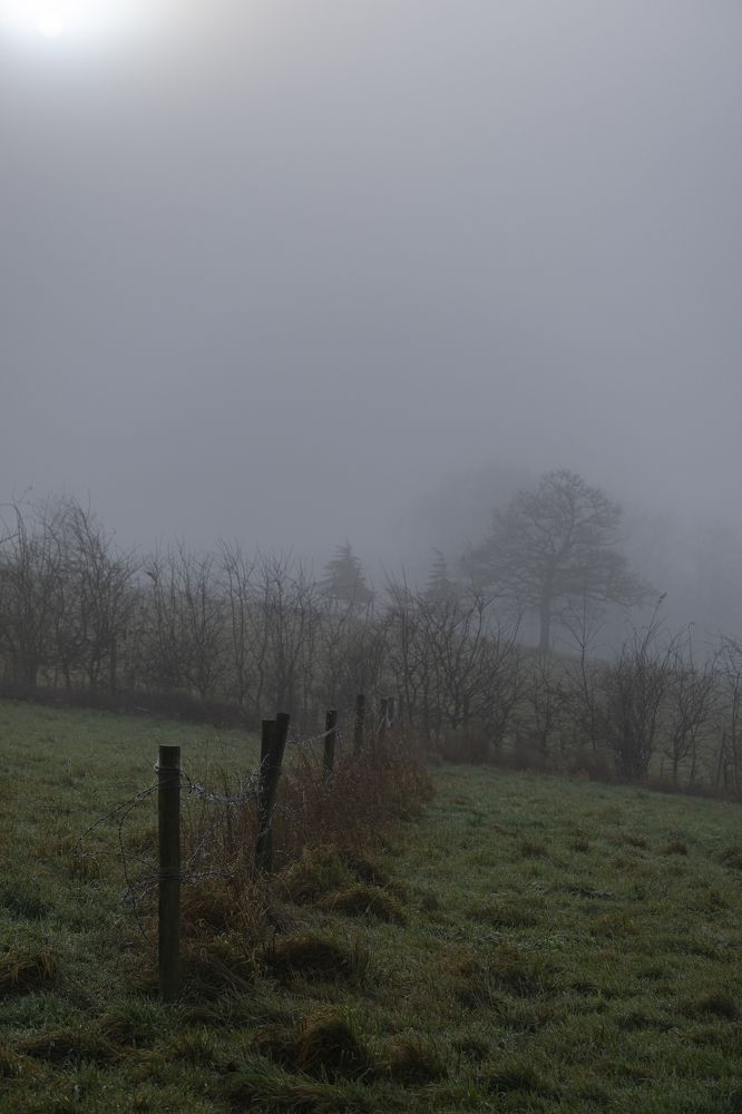 Photograph by Майя Коваль