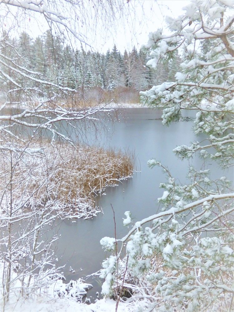 Photograph by Гузель Иванова