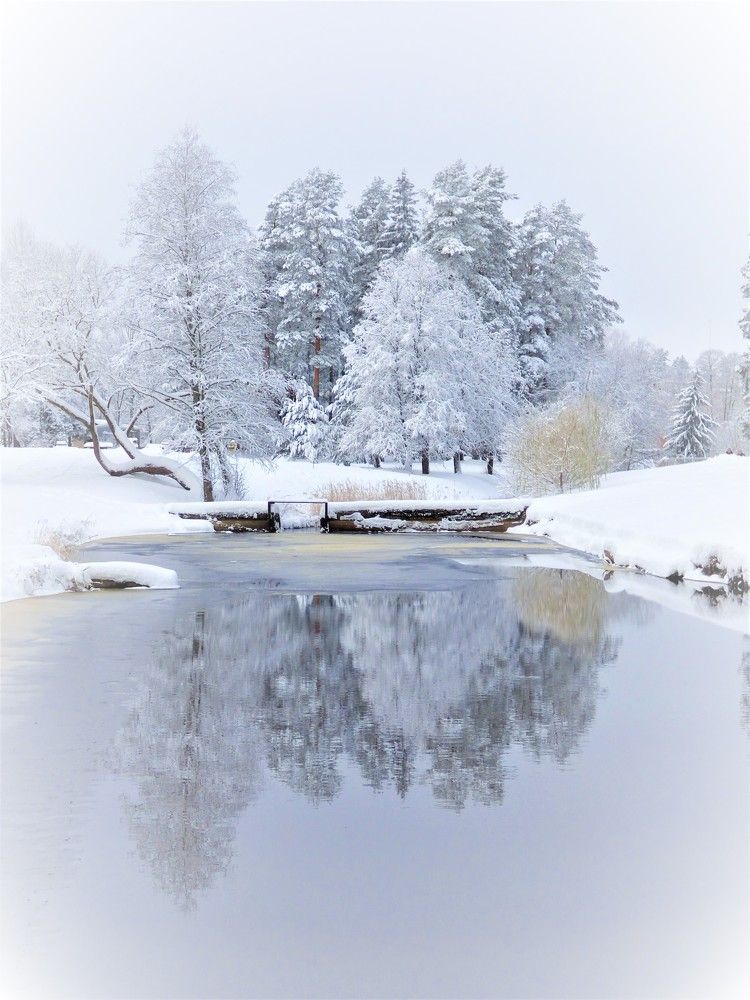 Photograph by Гузель Иванова