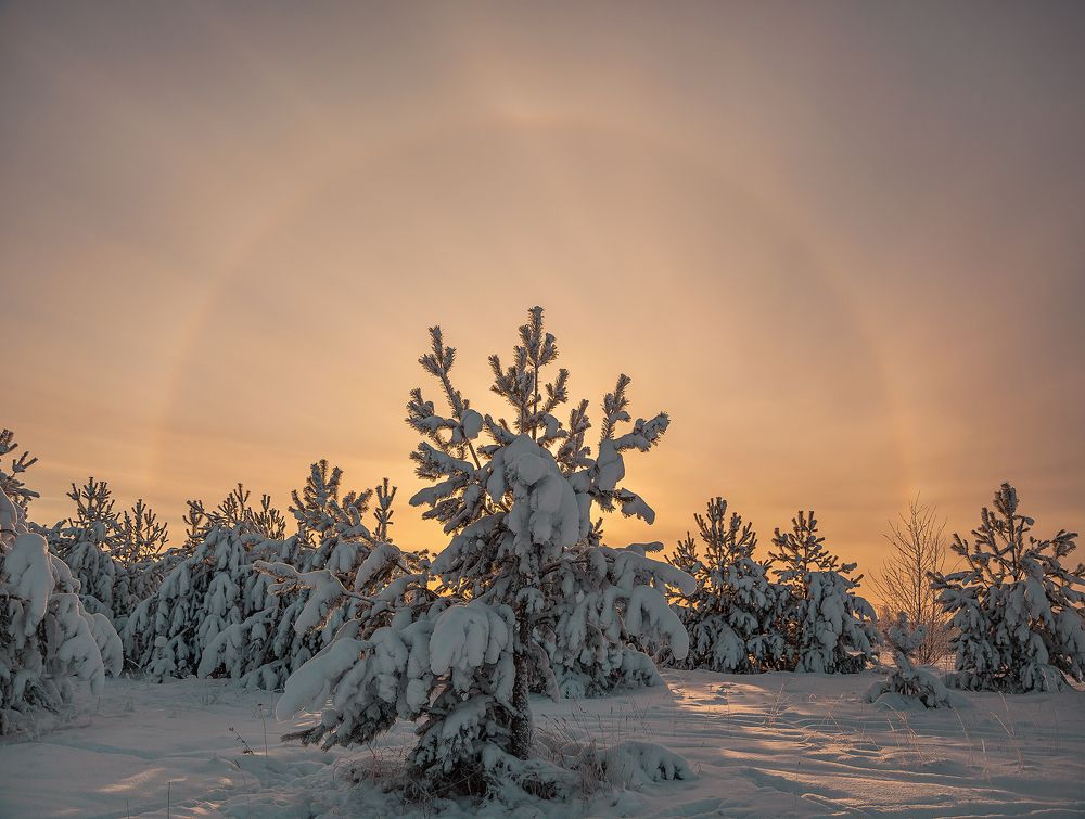 Фотография автора Наталья Ветошкина