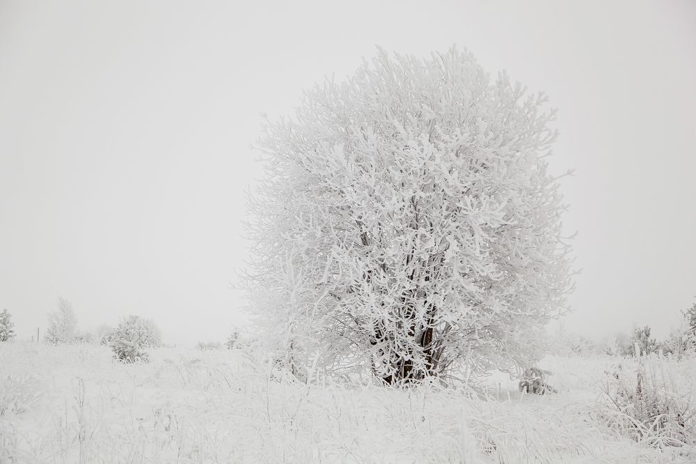 Фотография автора Наталья Ветошкина