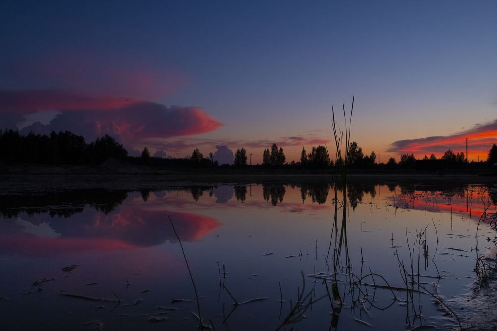 Photograph by Sandra