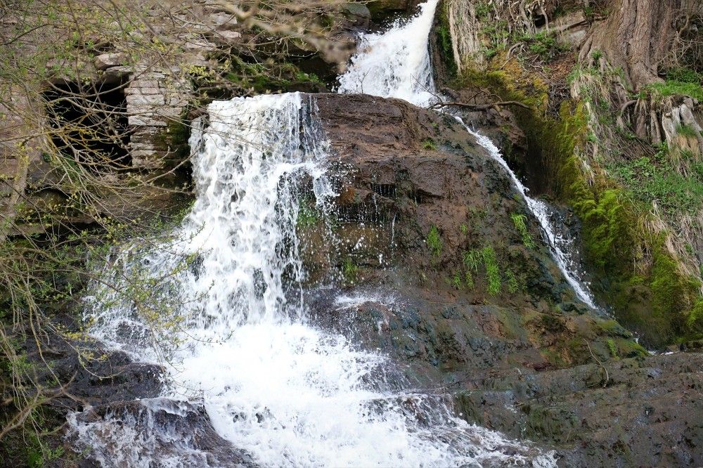 Photograph by Андрей Телибаев