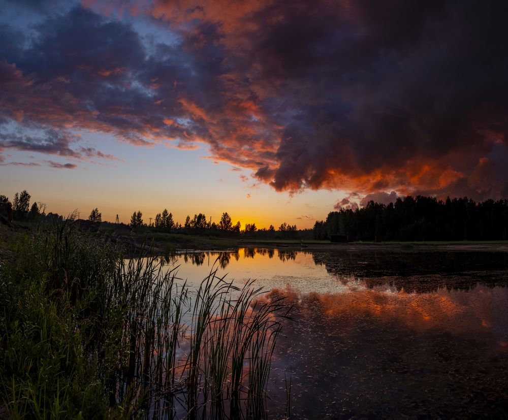 Photograph by Sandra