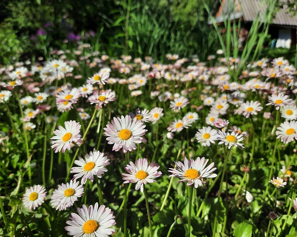 Фотография автора Olga Kunakova