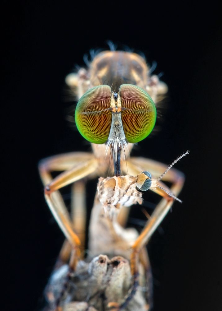 Photograph by Chuah Christopher