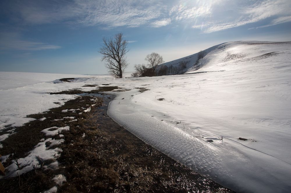 Фотография автора Олег Грачёв