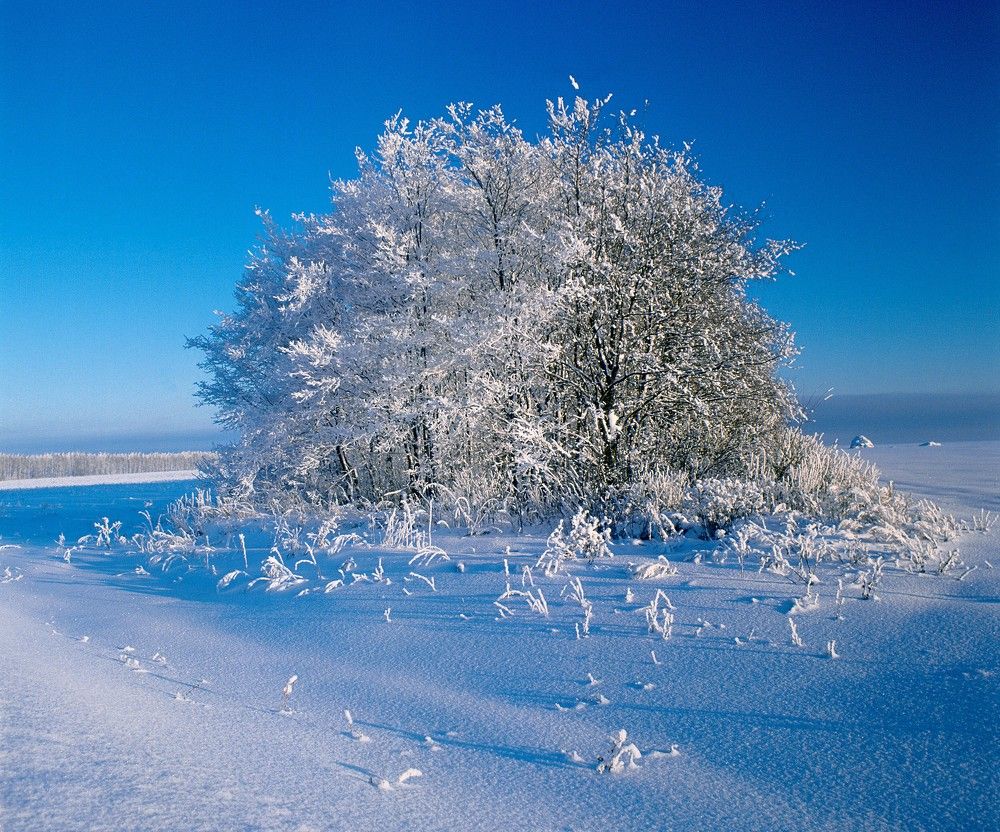 Photograph by Назаров Александр