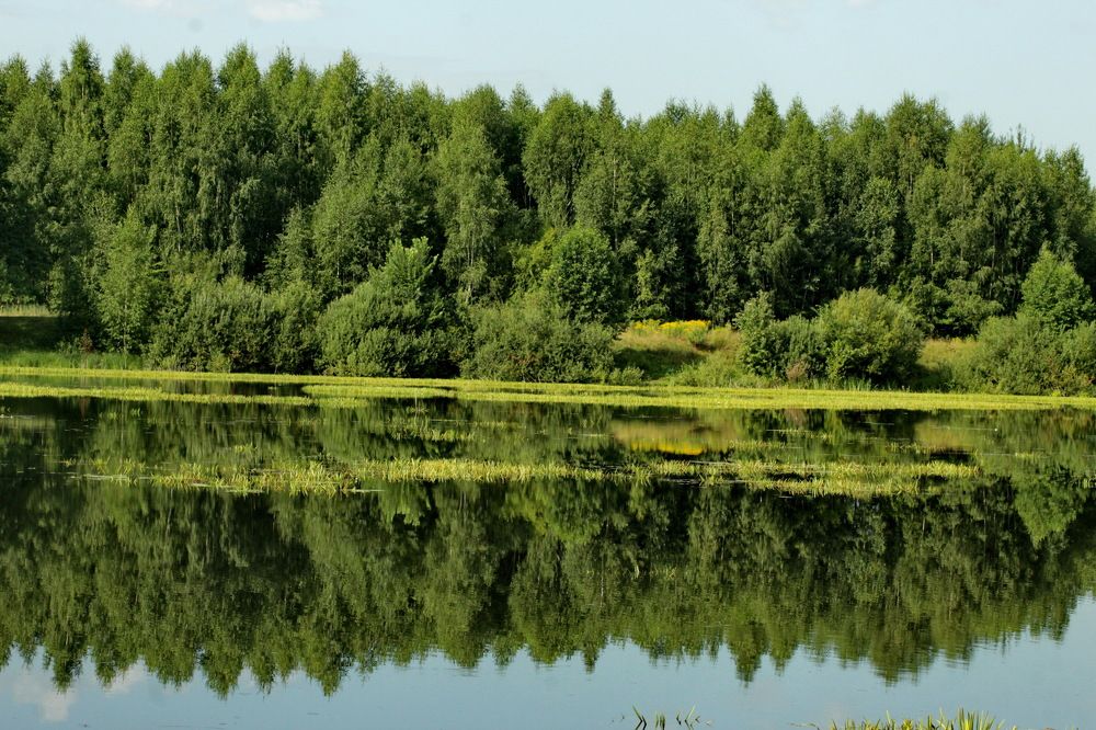 Photograph by Николай Николаевич Леухин