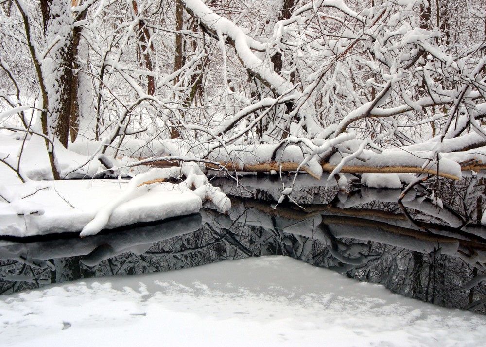 Photograph by Назаров Александр