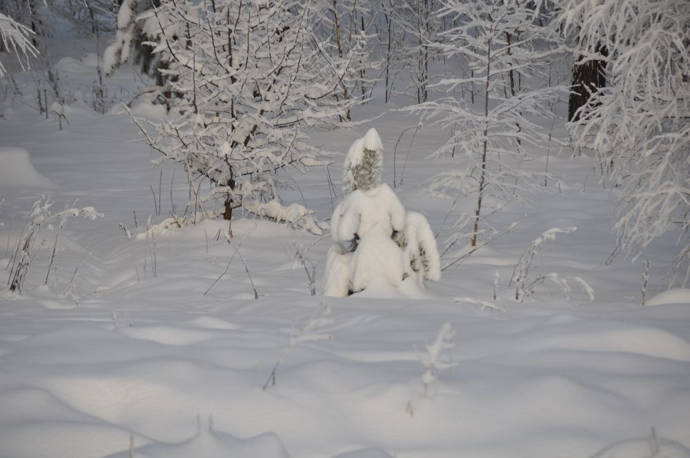 Photograph by Анатолий Мазуров