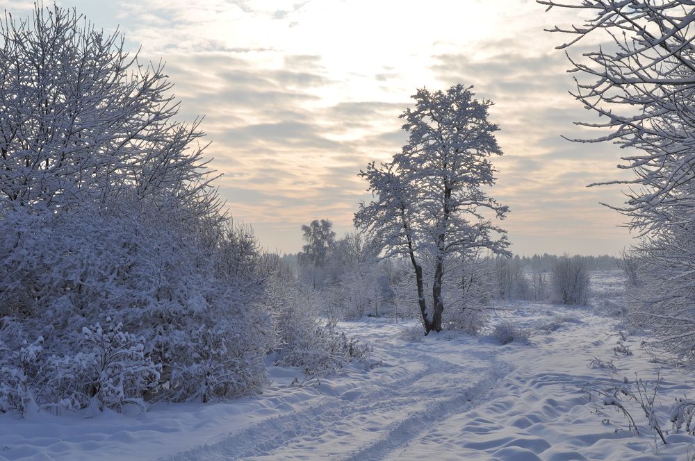 Photograph by Анатолий Мазуров