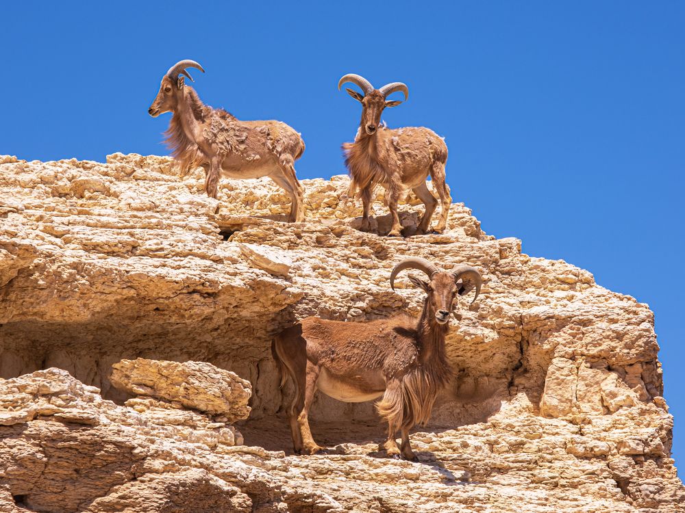 Photograph by Leonid Radashkovsky