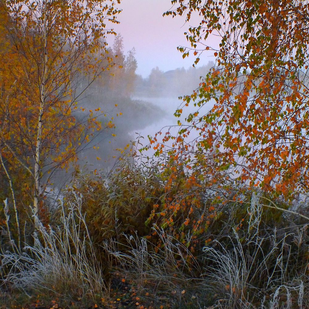 Photograph by Дмитрий Крылов