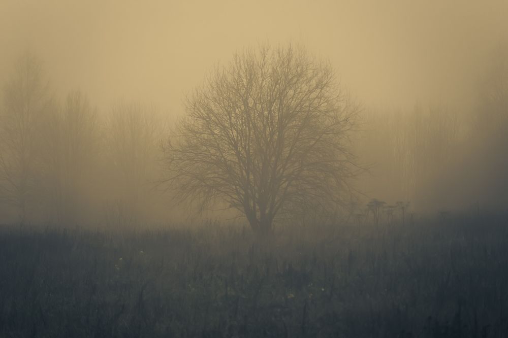 Photograph by Антон Хаткевич