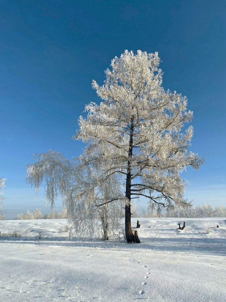 Photograph by Александр Шипиленко