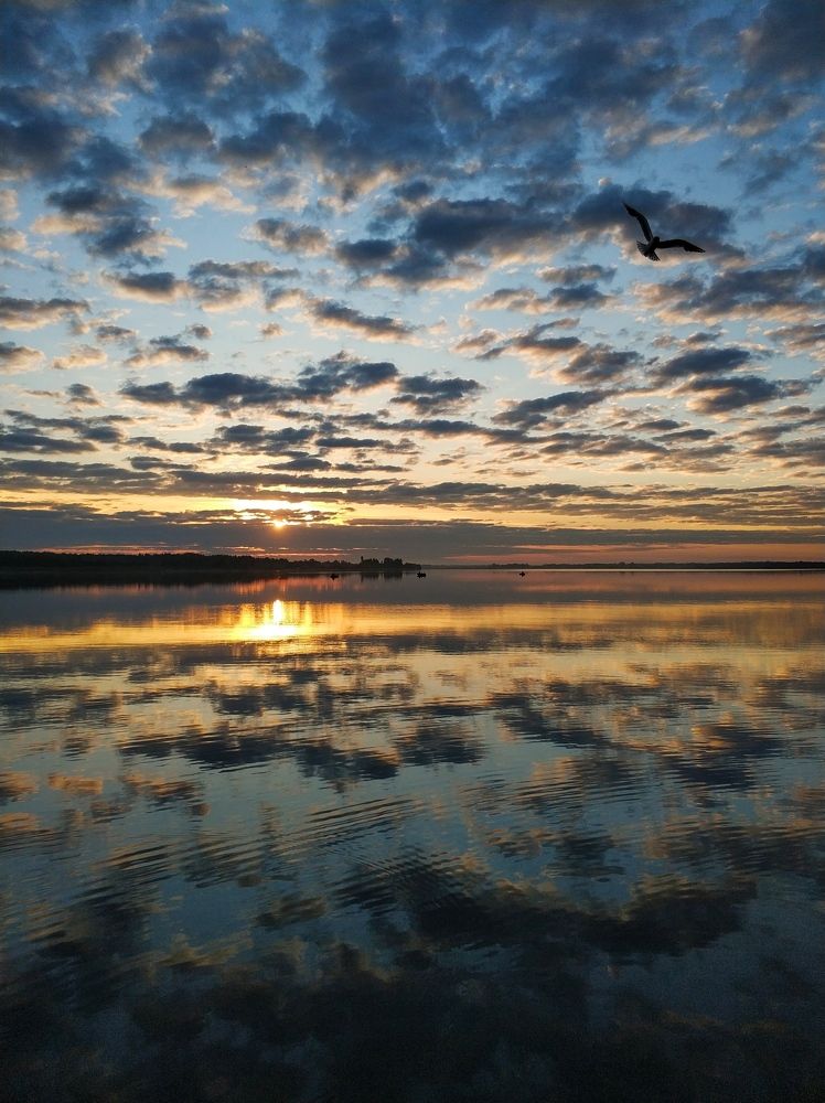 Photograph by Евгений Лямин