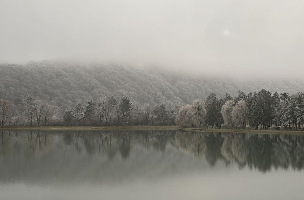Фотография автора Шипунова Ирина