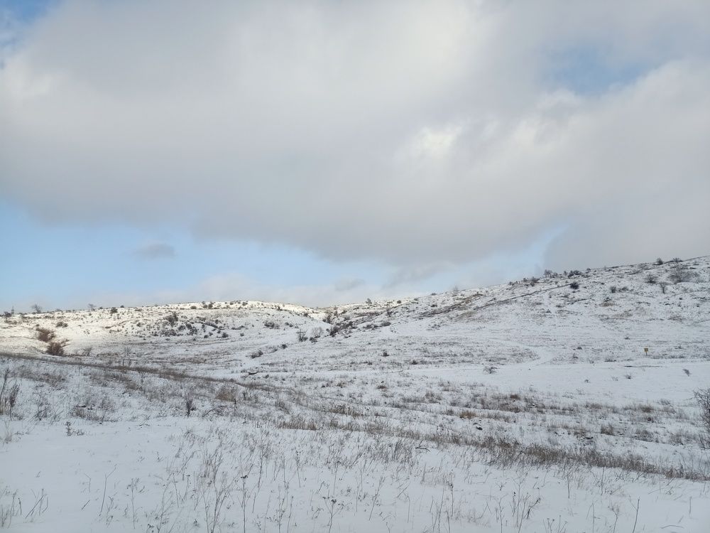 Фотография автора Ольга Винтер