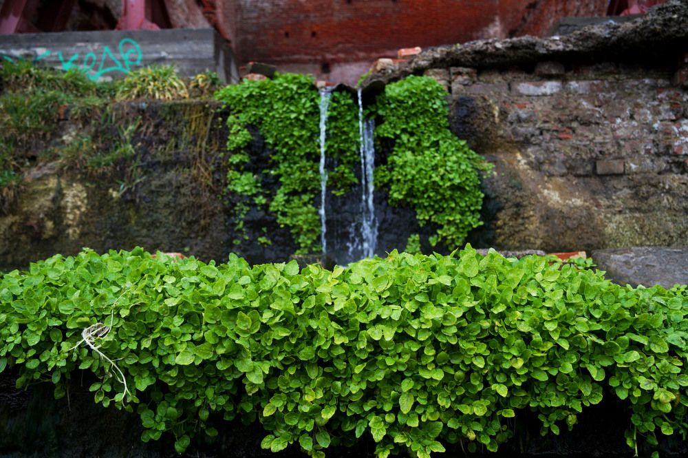 Photograph by Vlad Proshin