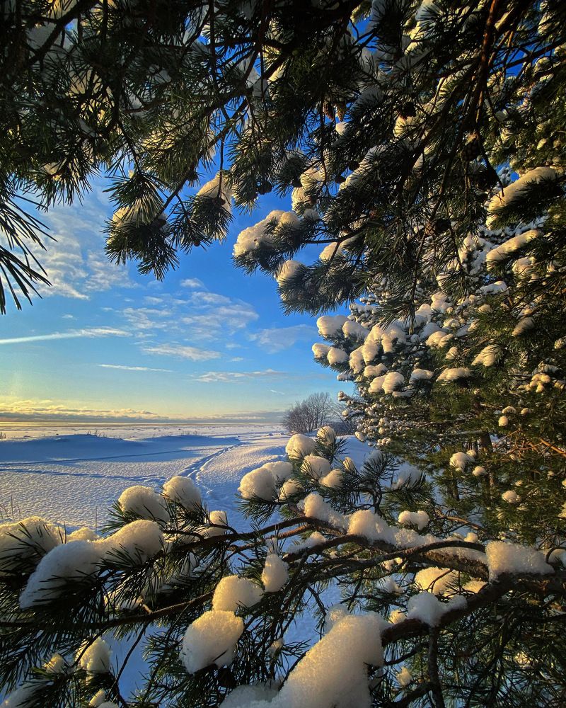 Photograph by Светлана Коган