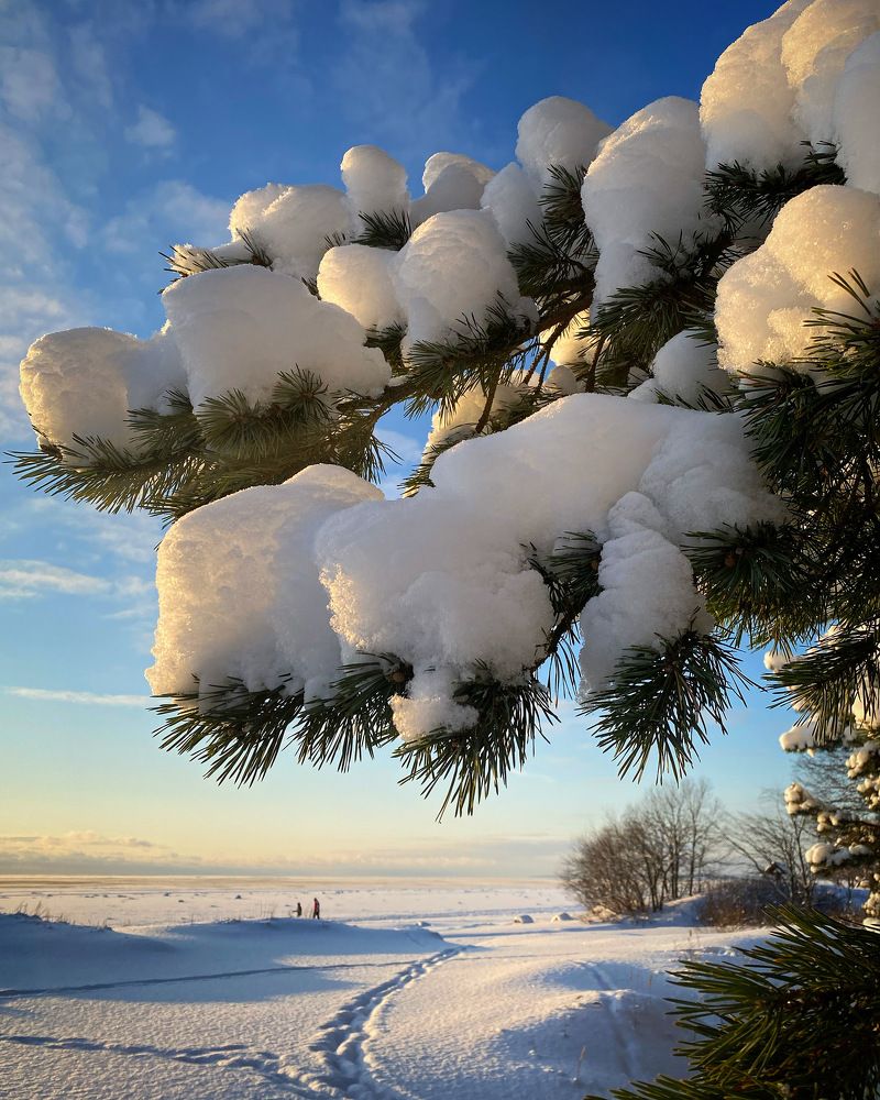 Photograph by Светлана Коган