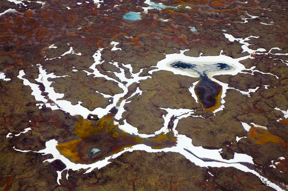 Photograph by Сергей Чарушин