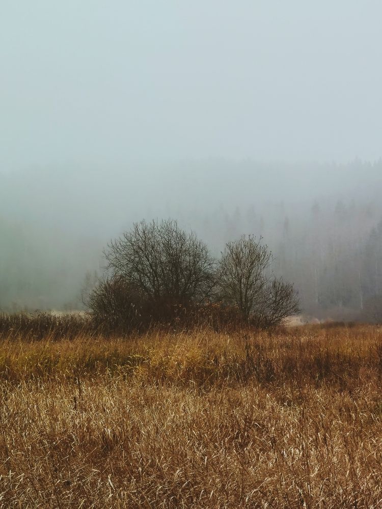 Photograph by Александр Державин