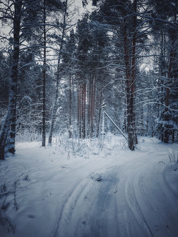 Photograph by Максим Жорж