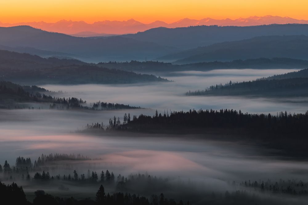 Photograph by Mateusz