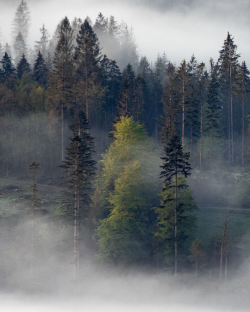 Photo #6904732