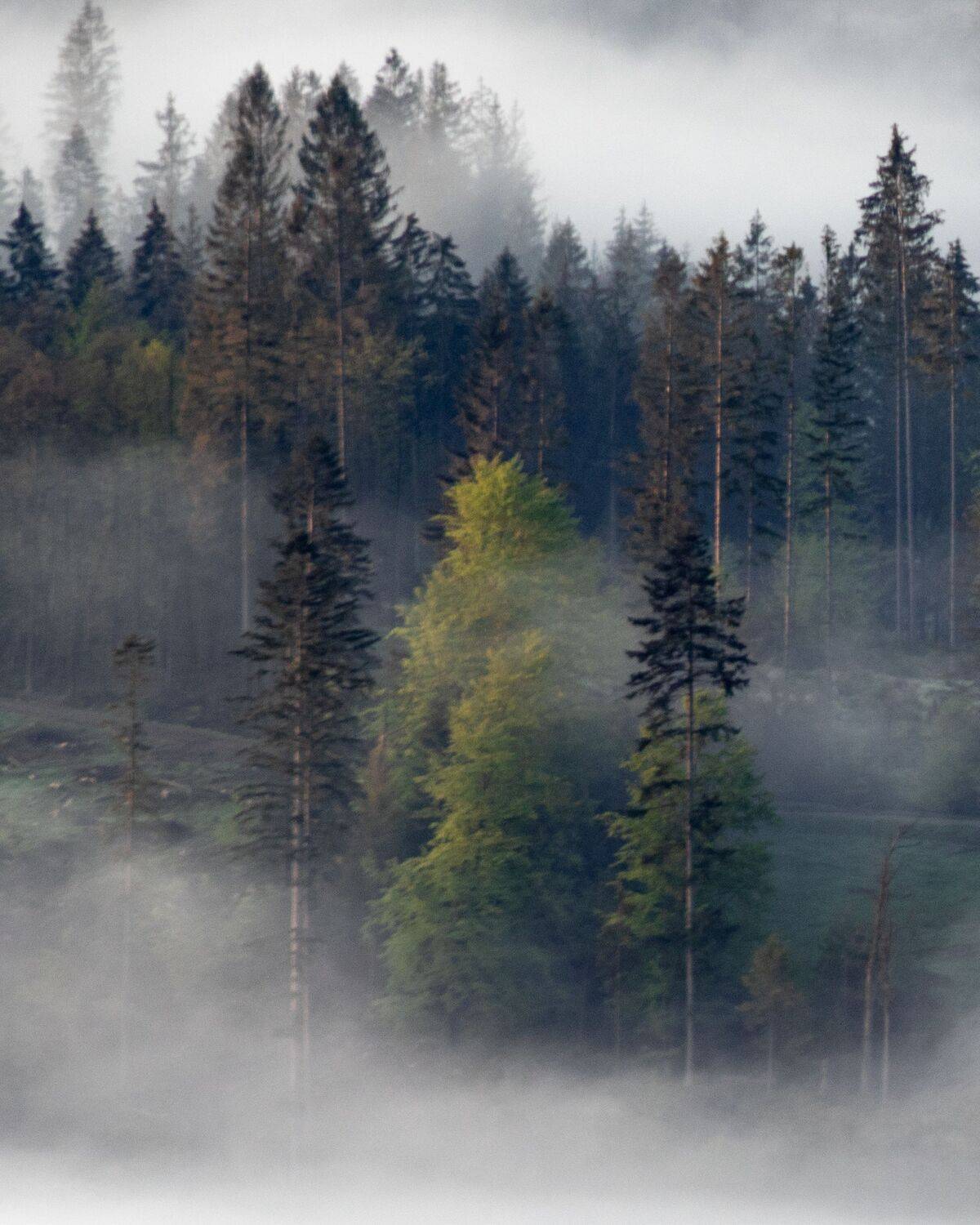 Photo #6904732
