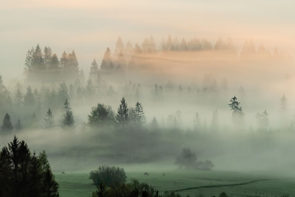 Photograph by Mateusz