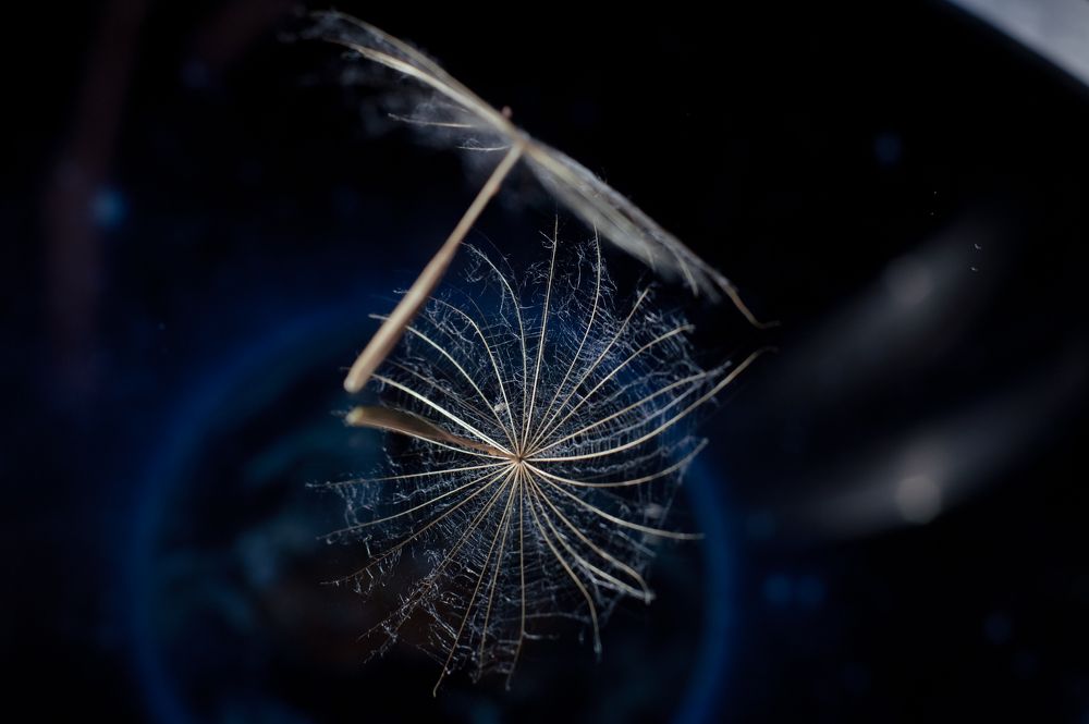 Photograph by Ирина Авельви