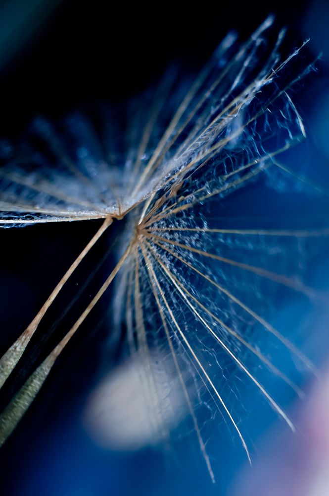 Photograph by Ирина Авельви