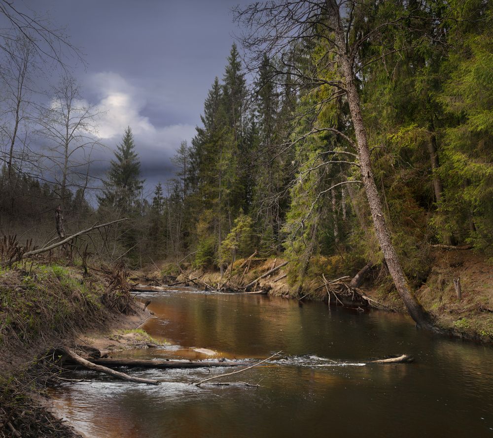 Photograph by Виктор Клементьев