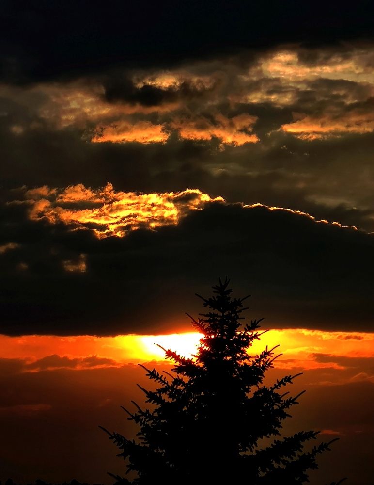 Photograph by Инна Макарчук