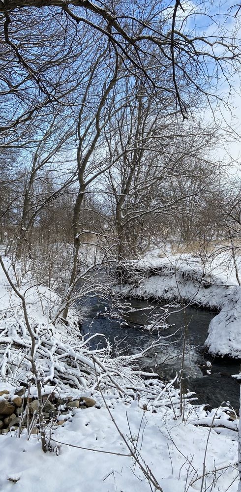 Photograph by Ирина Молибог