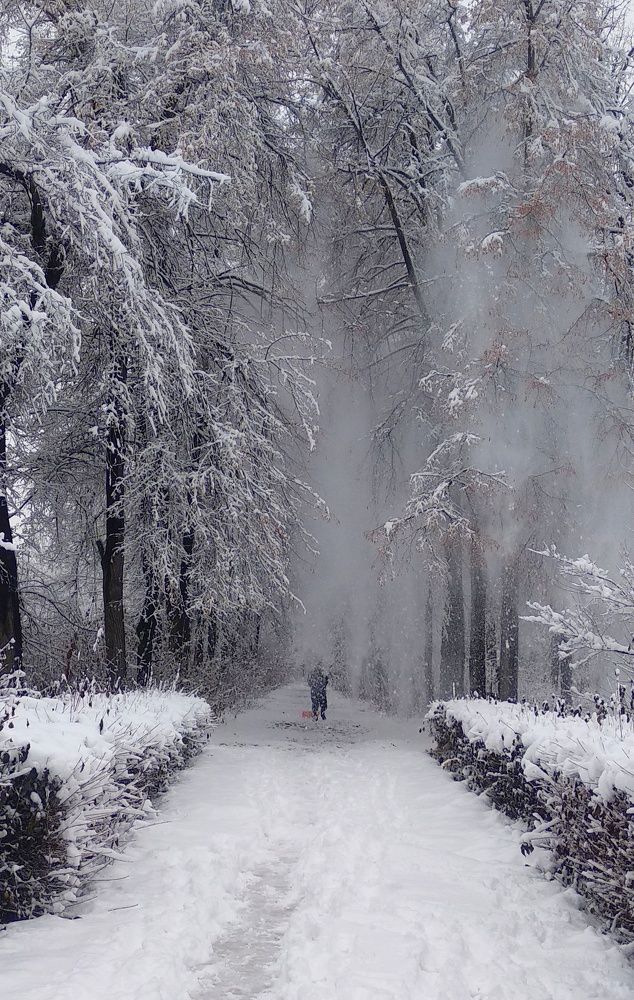 Photograph by Орынбек Асилбаев