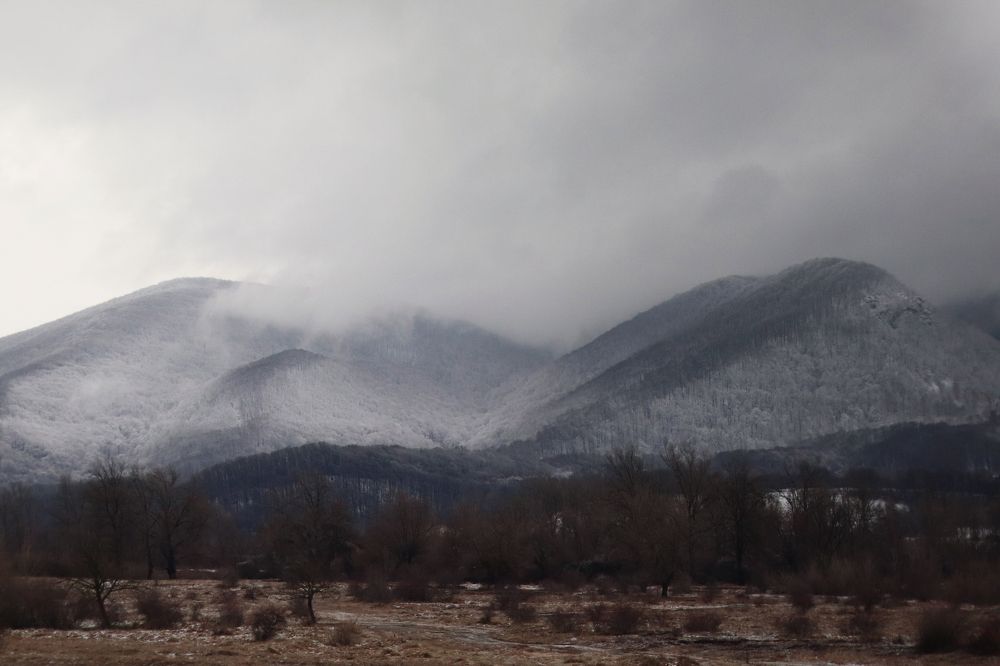 Photograph by Олеся Бучацька