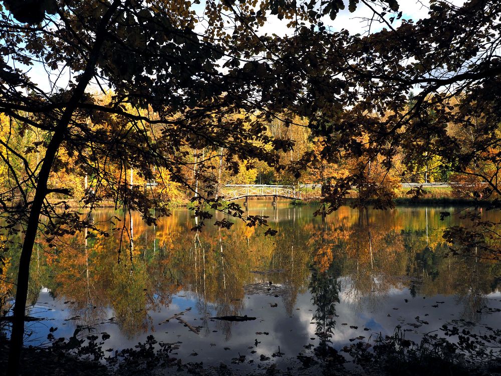 "Природа осенью дышала."