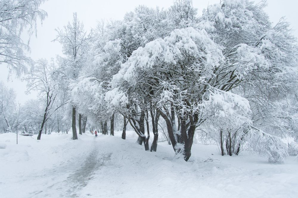 Photograph by Лилия Кондратьева