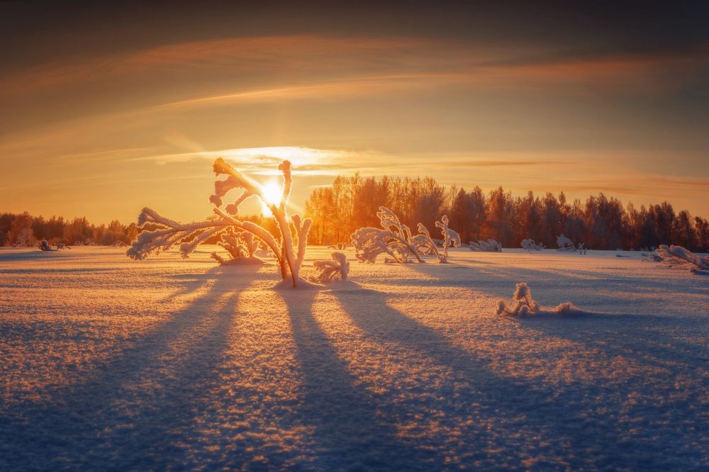 Photograph by Шевченко Николай